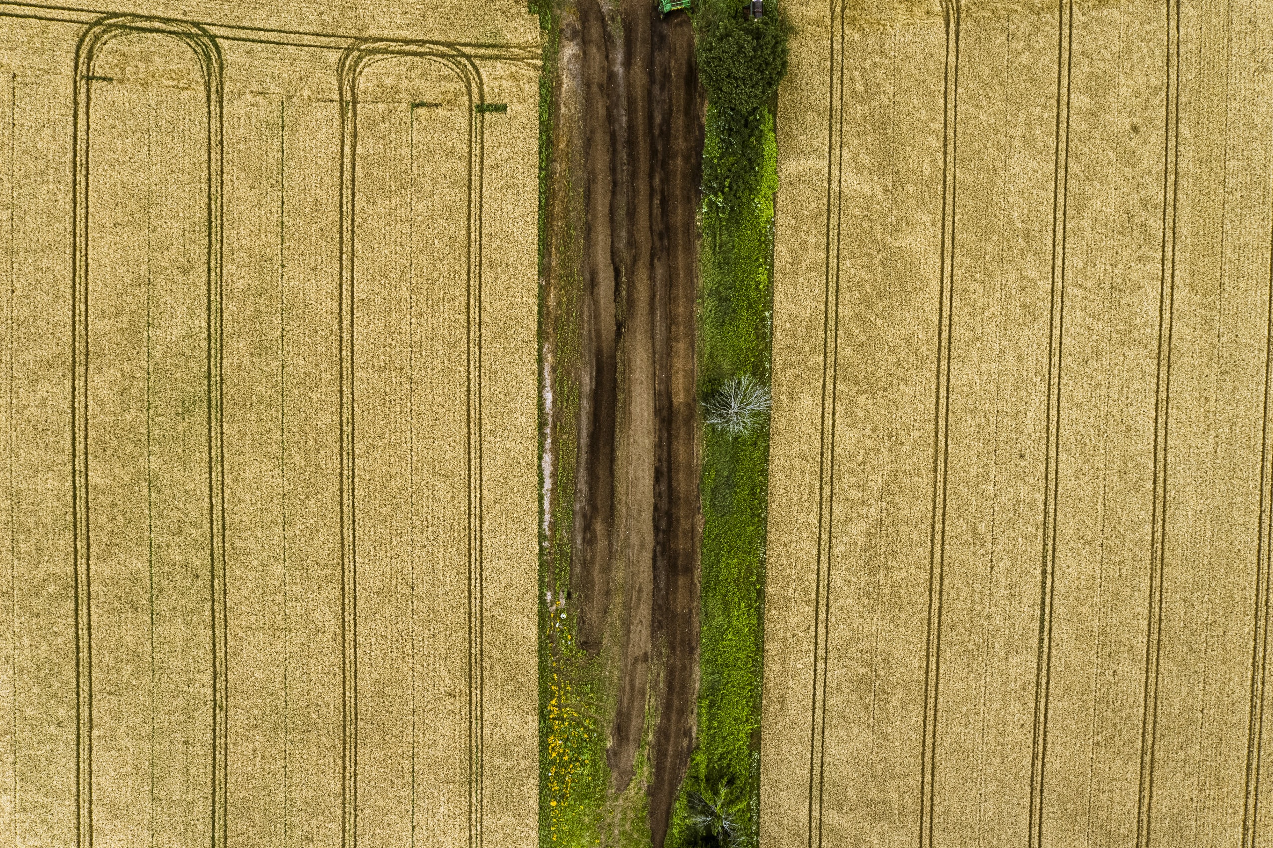 An aerial photo of two farm fields with tracks in dirt in between