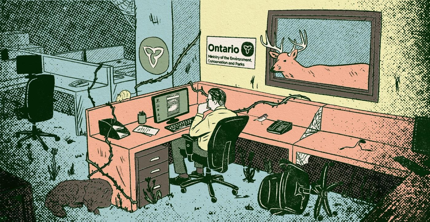 The illustrations shows an Ontario Ministry of Environment staffer sitting in an office, surrounded by vines and wildlife. The office is otherwise empty, representing a loss of staff after Bill 5.