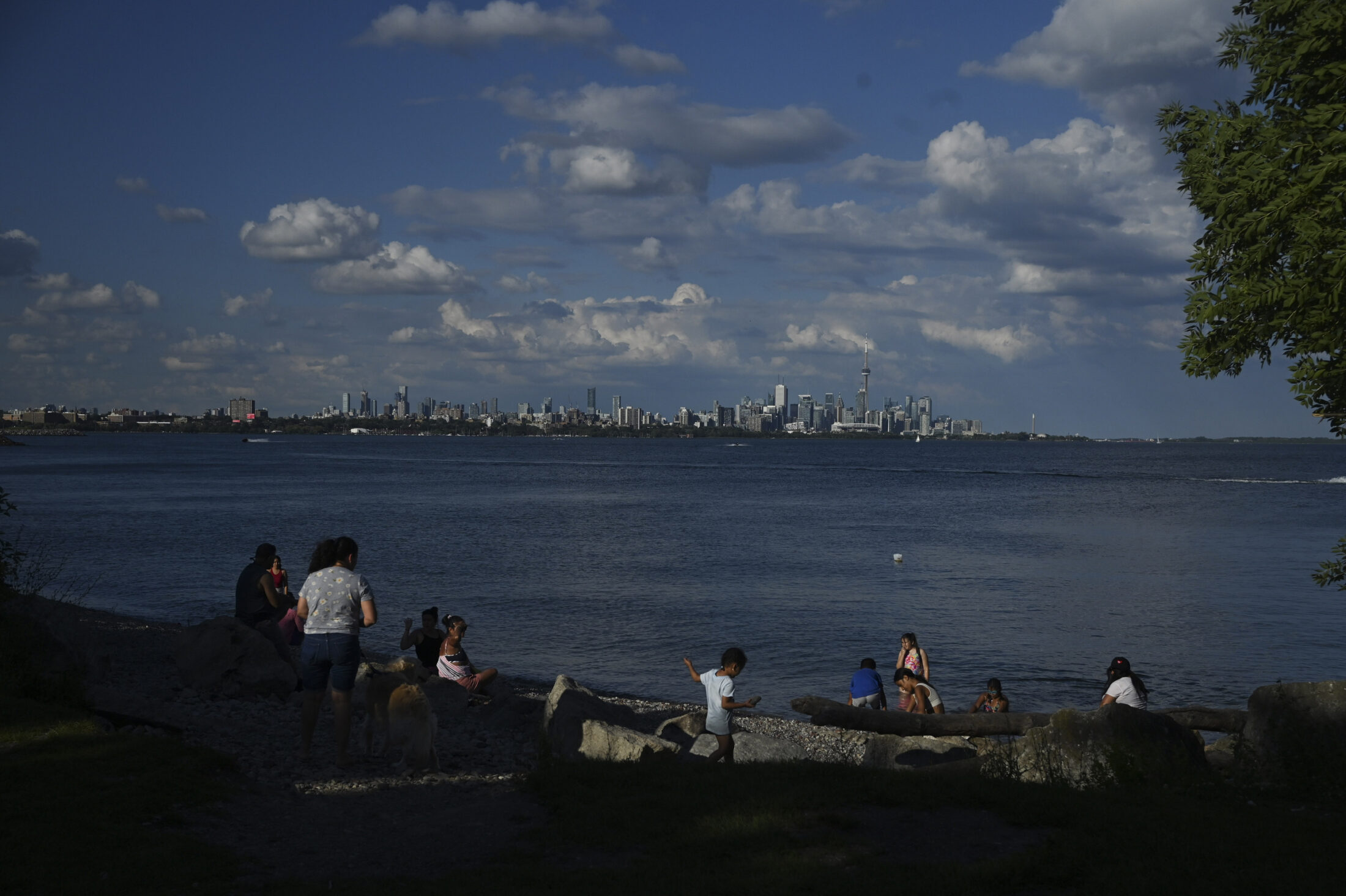 A picture of the Toronto skyline from across Lake Ontario