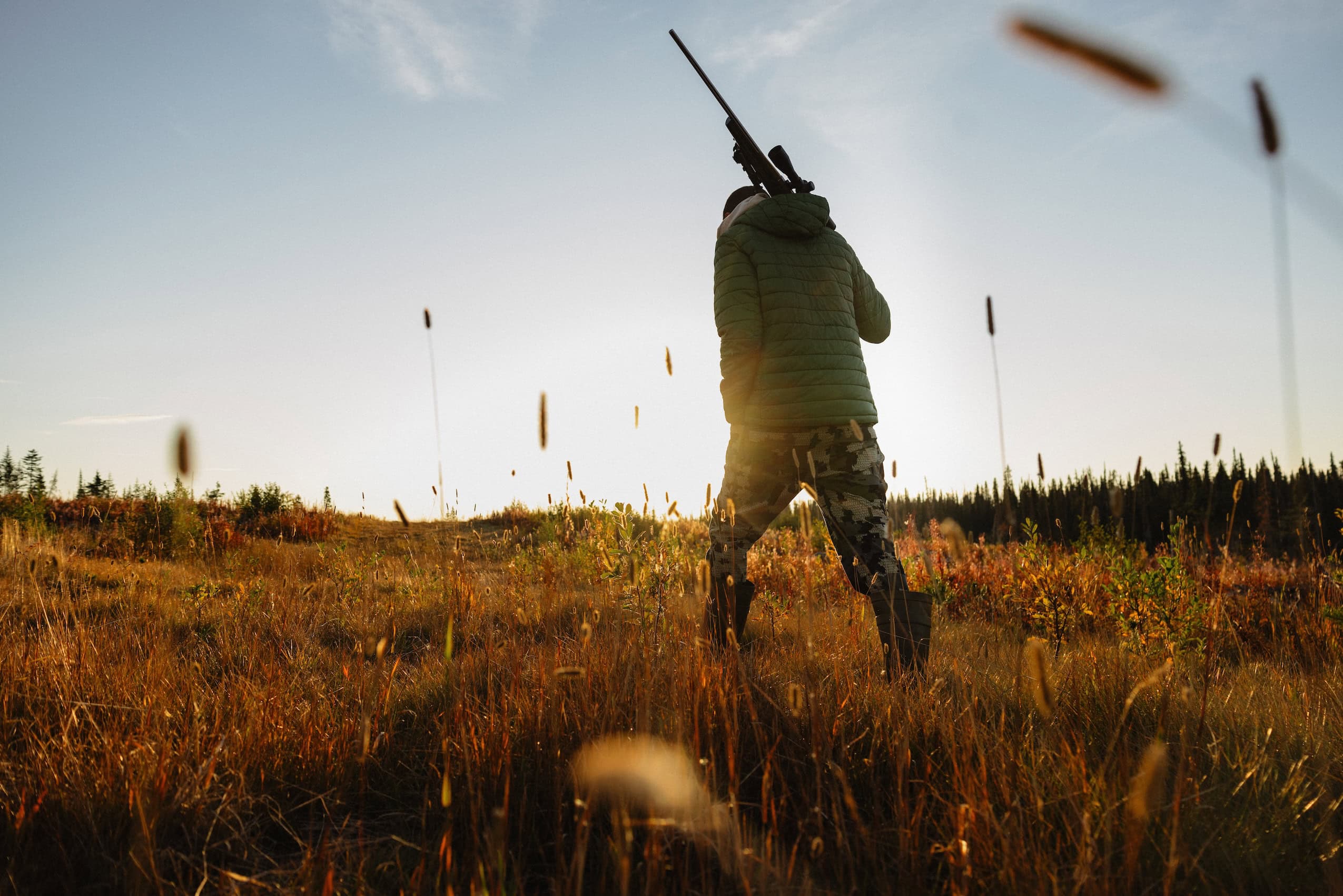 A person walks away from the camera through a field of tall grasses with a hunting gun thrown over his shoulders.