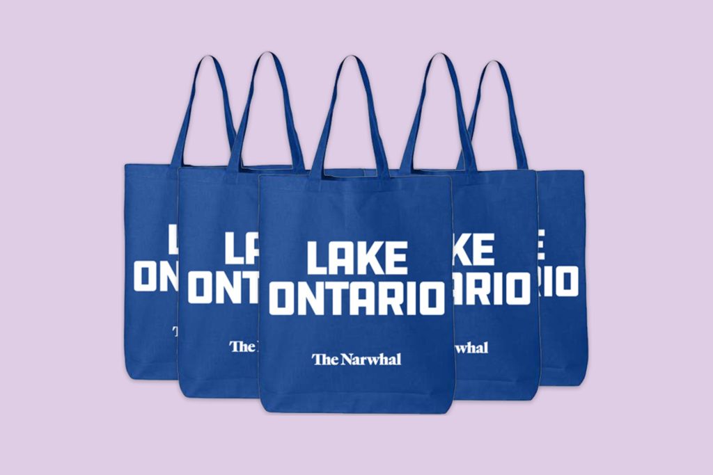 An illustration with Lake Ontario tote bags