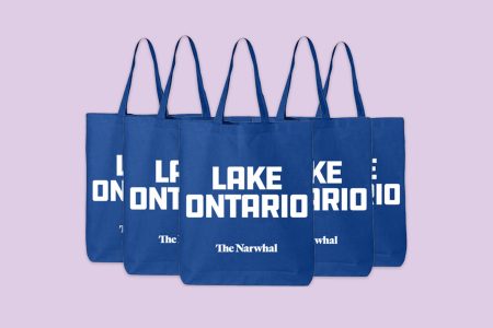 An illustration with Lake Ontario tote bags