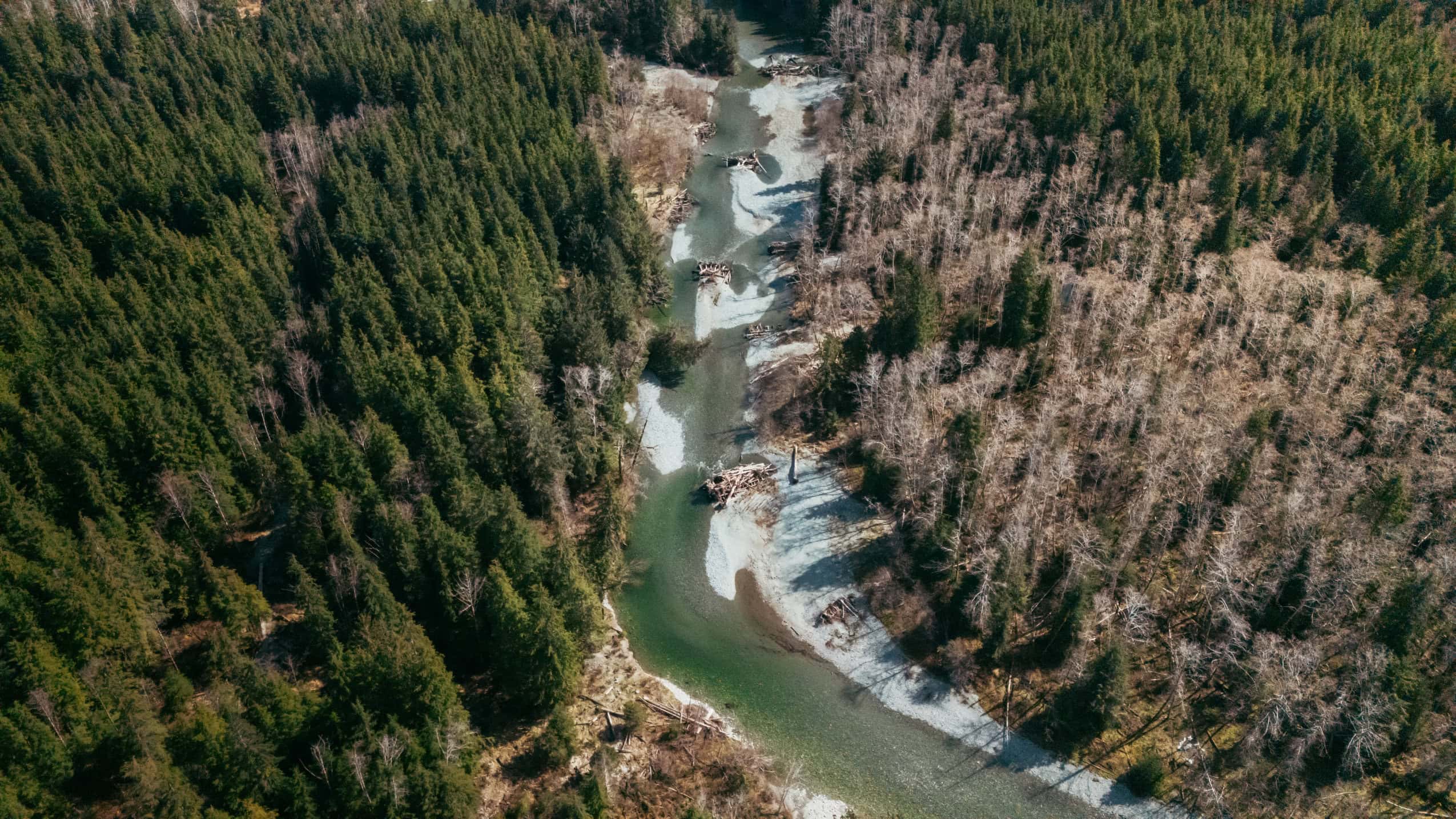 An aerial view of a river flowing through a forested landscape. There are large piles of wood placed in the river at regular intervals.