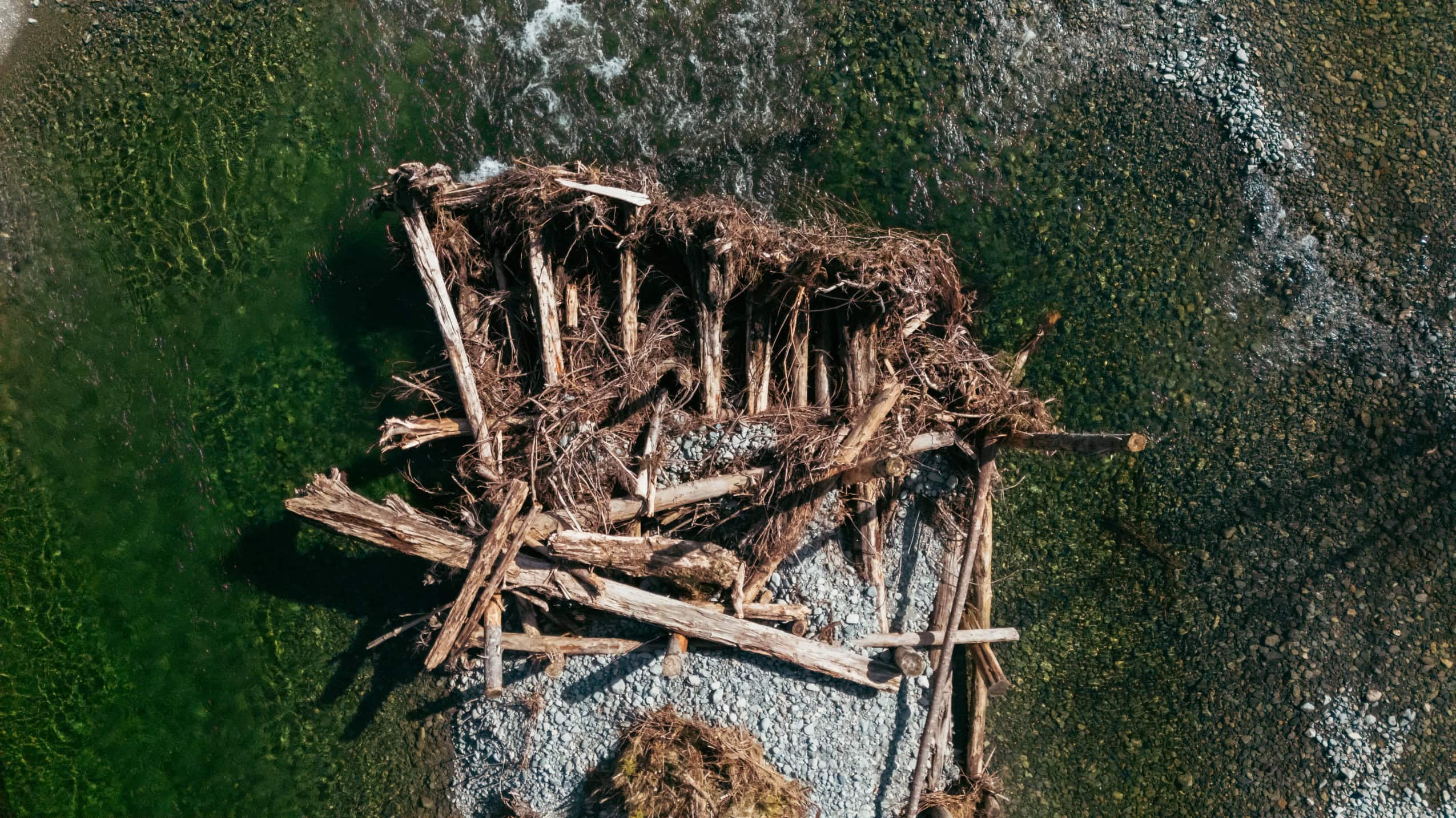 The helicopter-powered quest to save salmon in B.C.