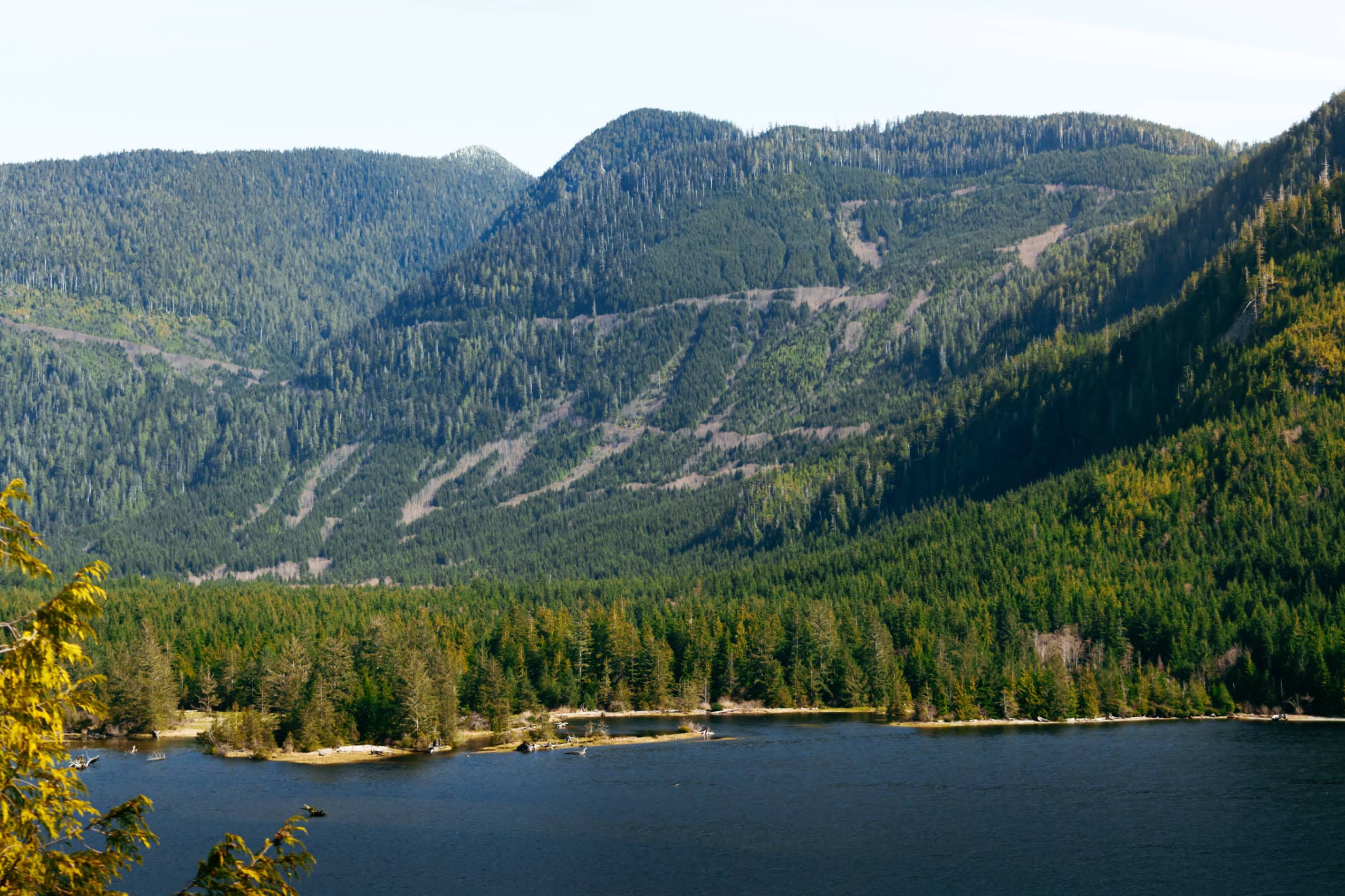 A view of a forested mountain side, with a body of water in the foreground.