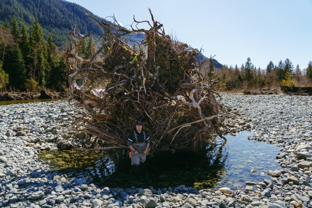 A person stands in front of a tree root system that has been deposited in a shallow pool of water among rocks. In the background, a river and steep hill.
