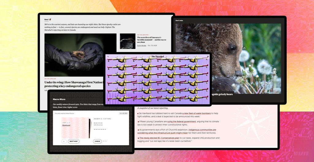 A collage of screenshots showing different sections on The Narwhal's updated homepage