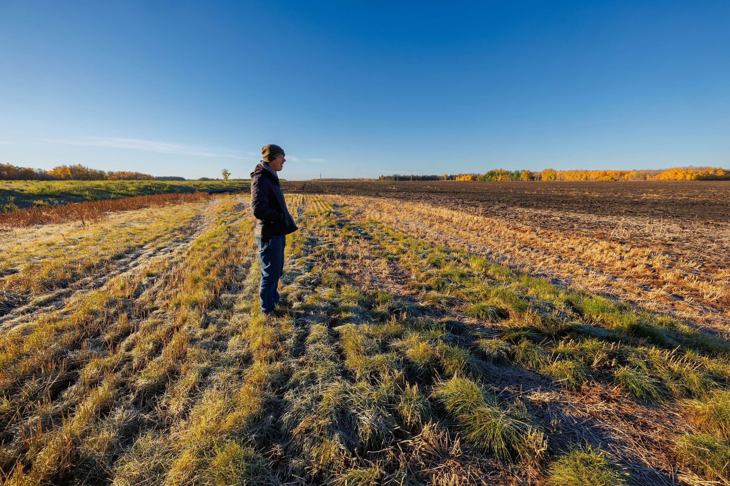Manitoba farmer Nick Matheson stands in one of his fields on a bright and sunny fall day. There is frost on the ground and he is wearing a toque.