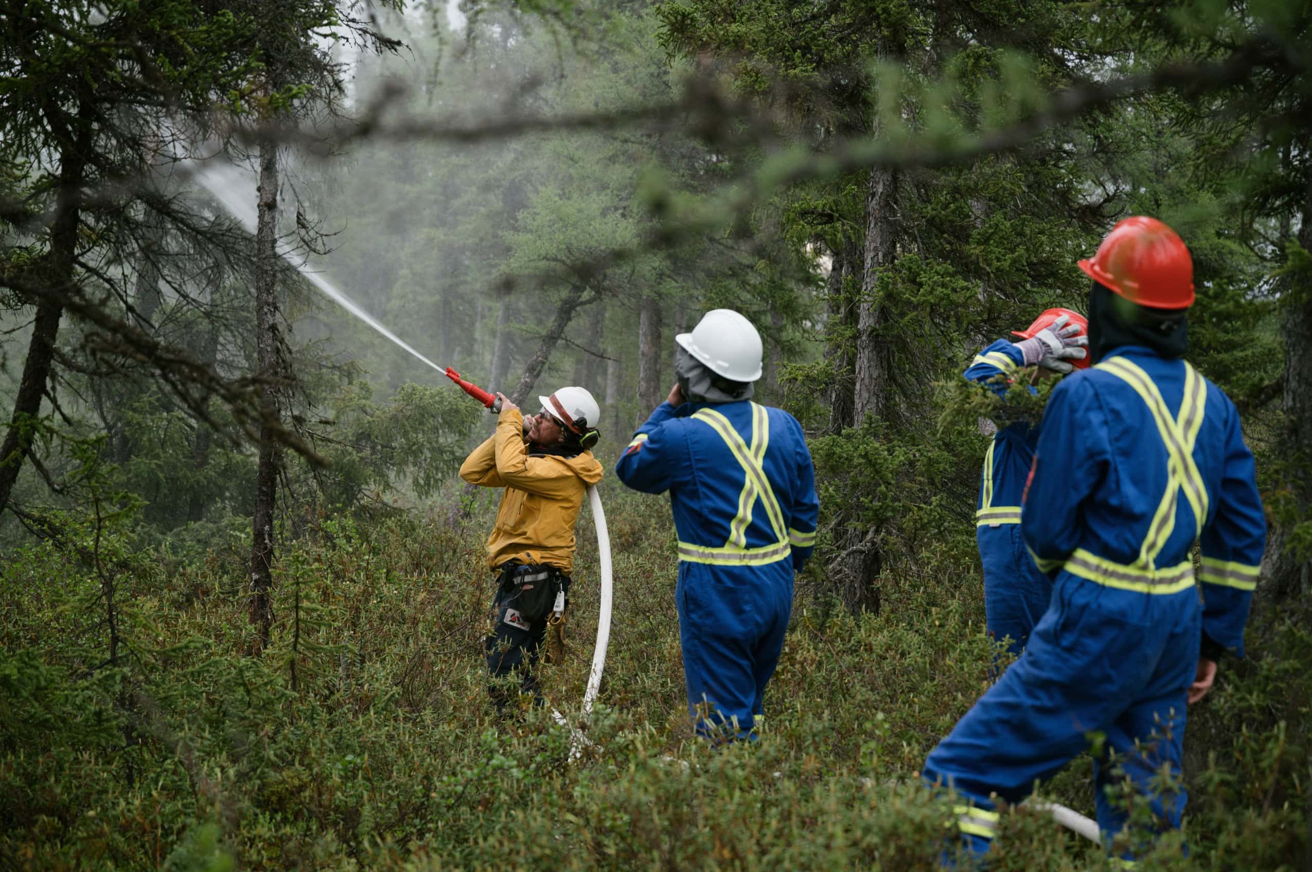 Volunteers firefighters wearing hard hats and protective clothing train in a forested area. One of them is spraying water from a hose up into the tree tops.