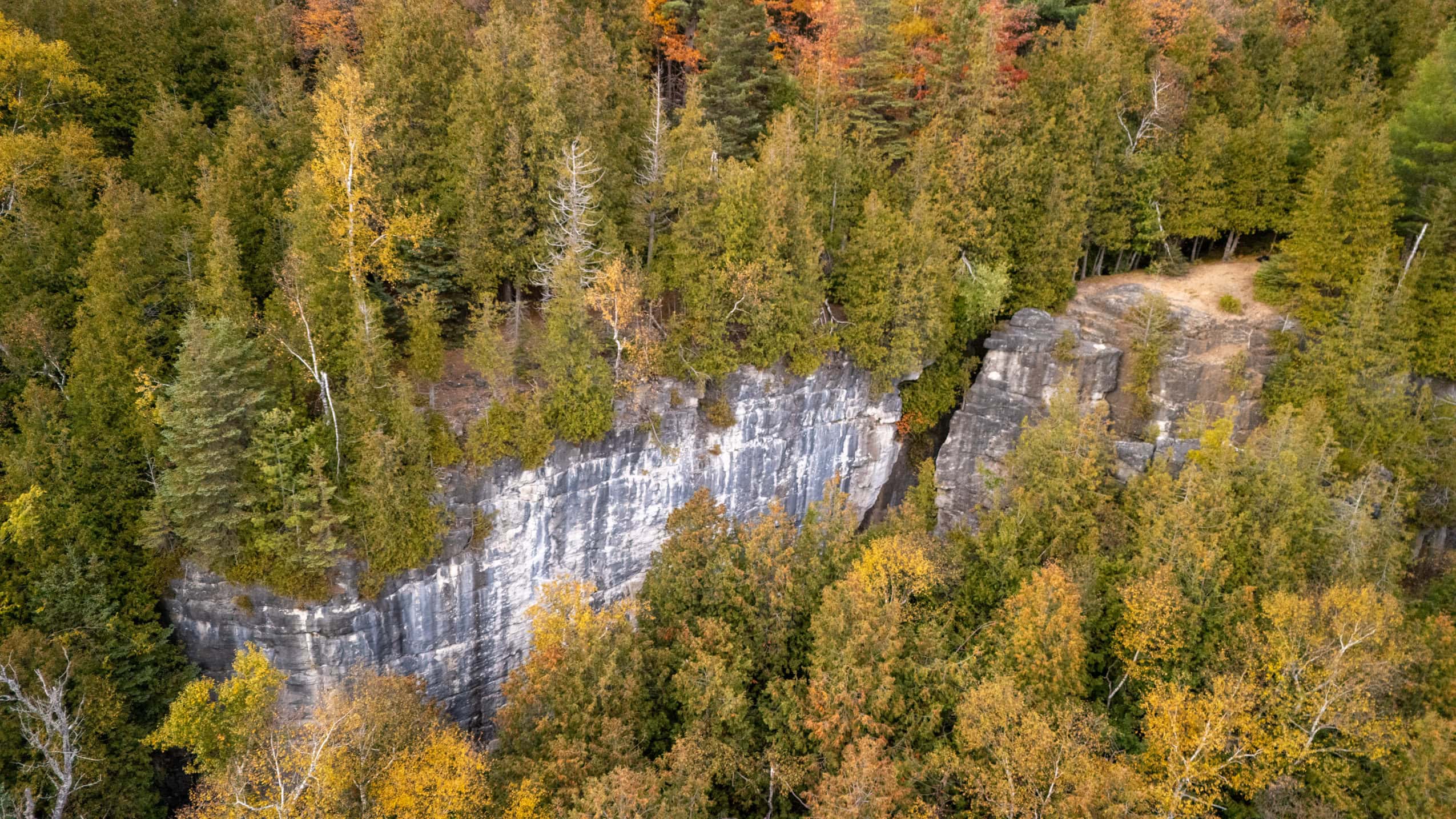 An aerial view of the Devil's Glen bluffs, a nearly vertical rock wall in a forest.