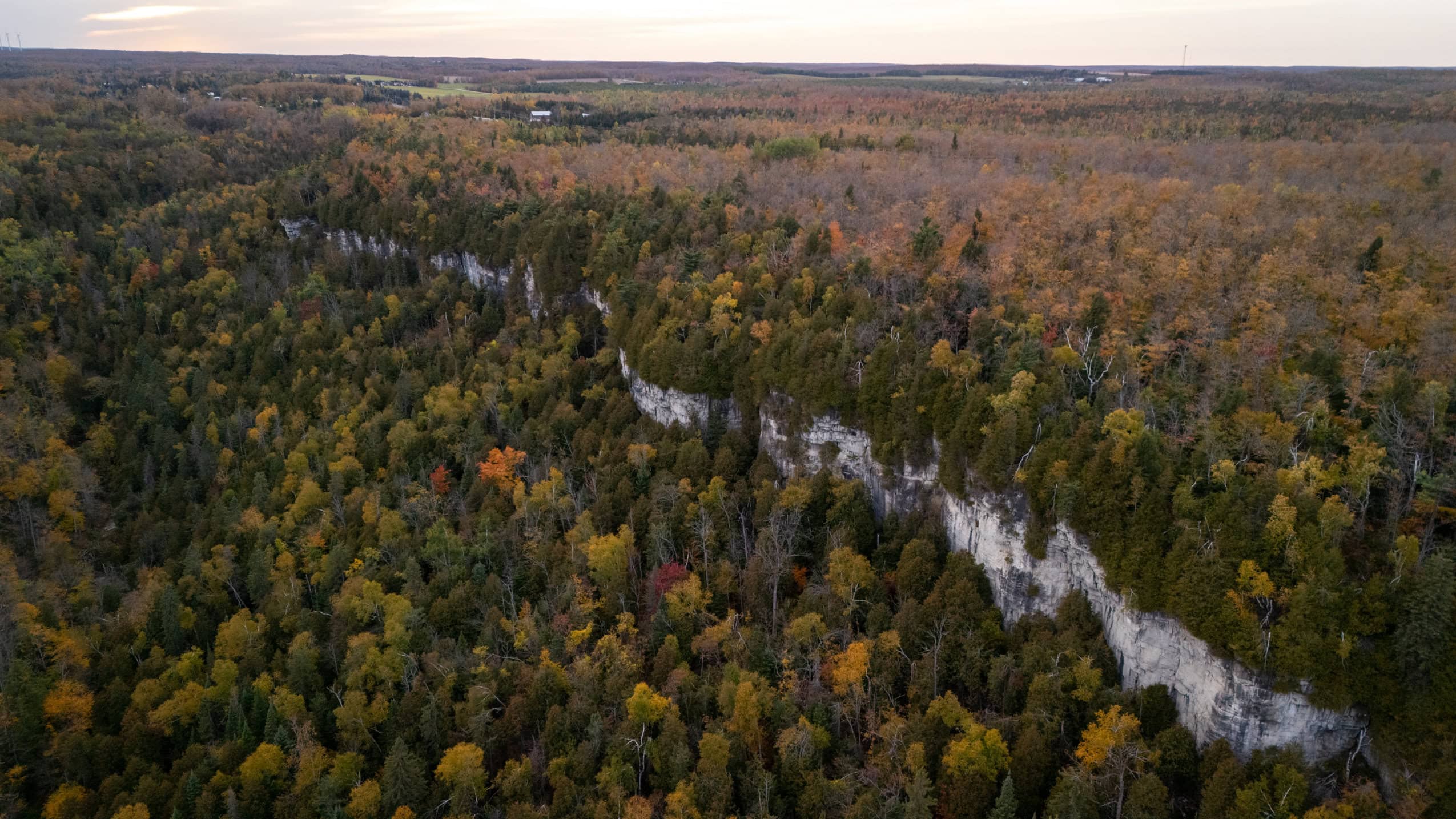 An aerial view of the Devil's Glen bluffs, a nearly vertical rock wall in a forest.