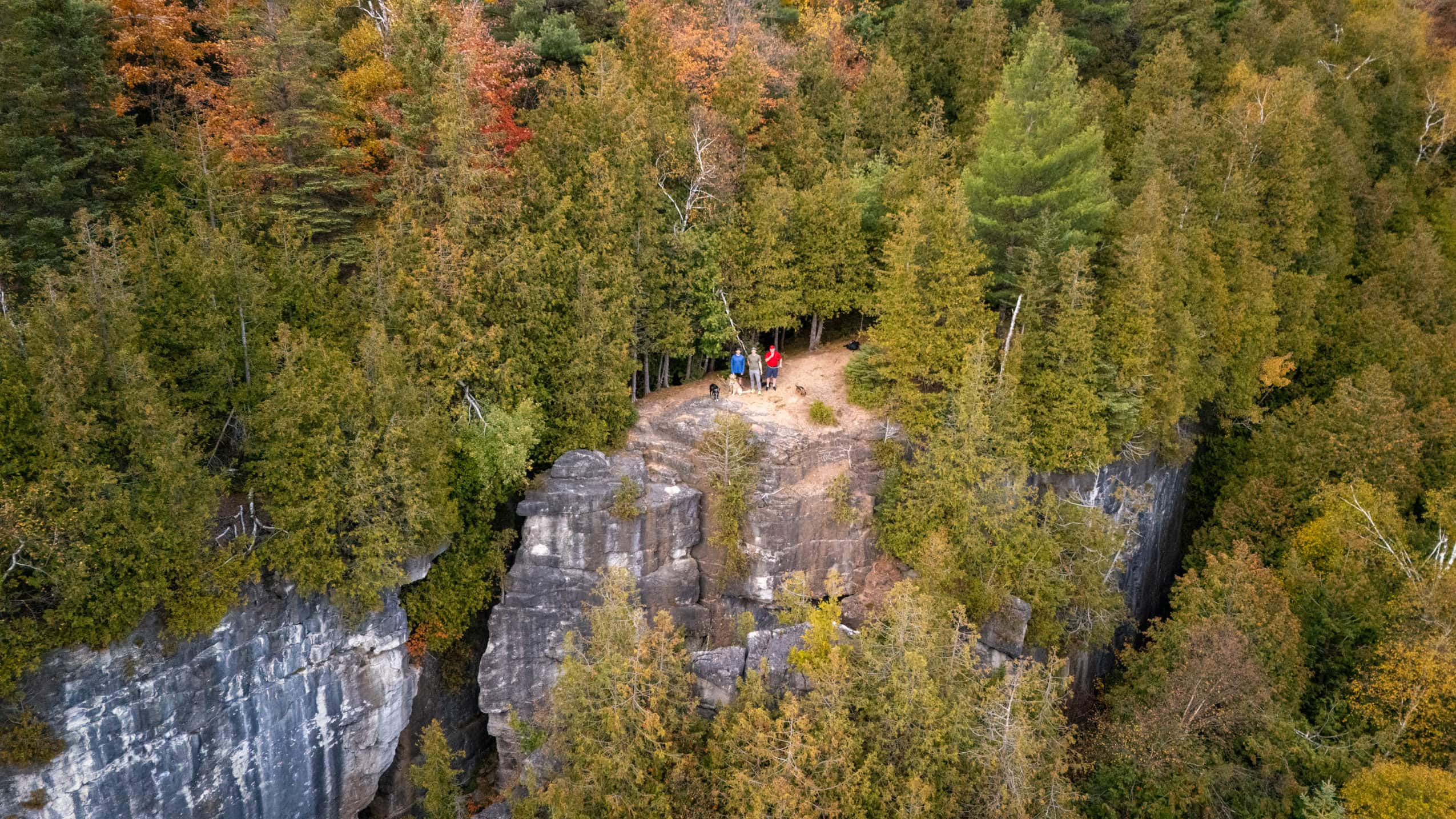 Three hikers stand atop a cliff-top lookout in Devil's Glen Provincial Park.