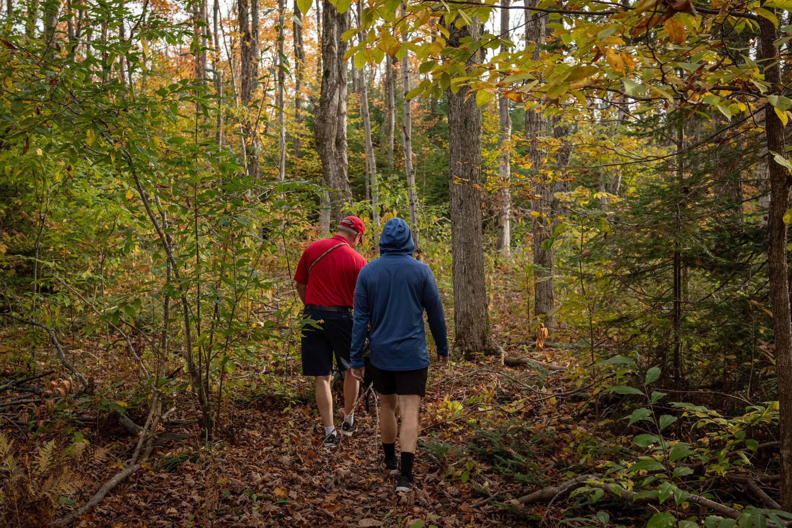 Seen from behind, two people hike through a forest.