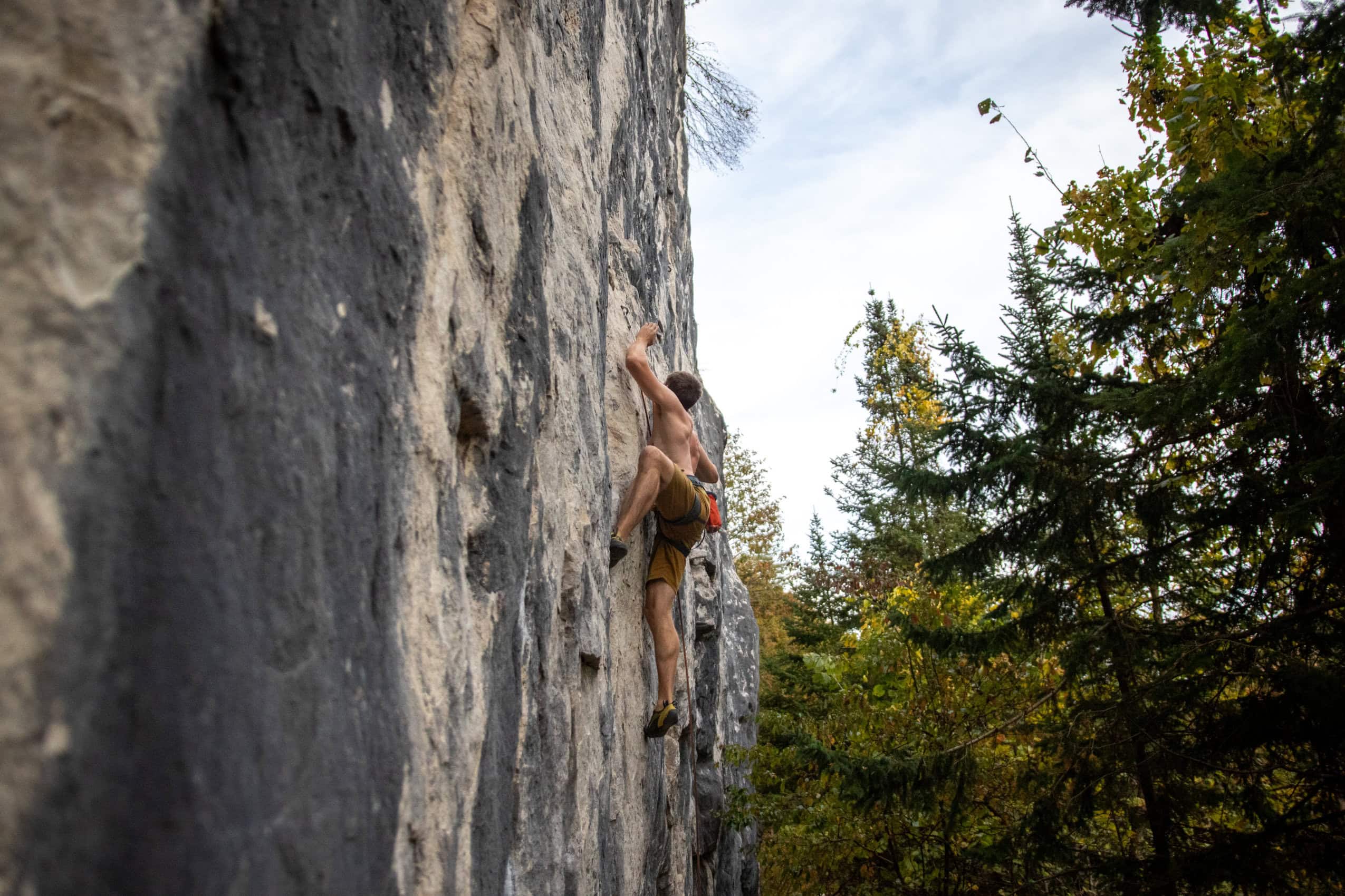 Seen from below, a rock climber scales a nearly-vertical rock wall. Opposite the cliff, trees grow.