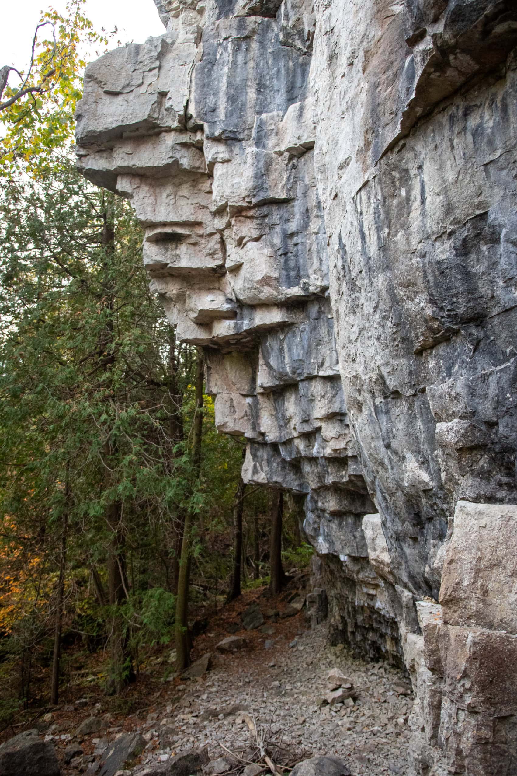 The edge of a rocky bluff, with cedar trees growing near its base.