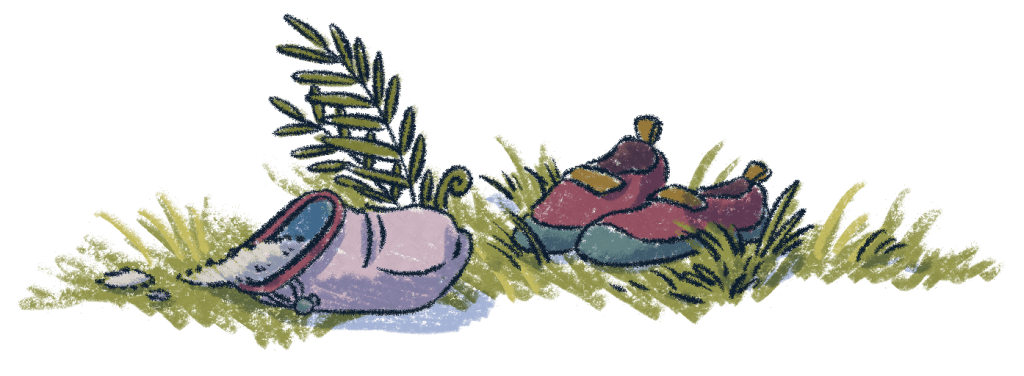 A purple bag of chalk and red and green climbing shoes lay amongst green ferns and grasses.