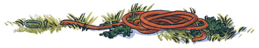 A rope and carabiner hook lays in green grass, representing climbing gear used in Devil's Glen.