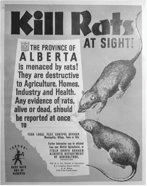 An old poster tells people in Alberta to kill rats
