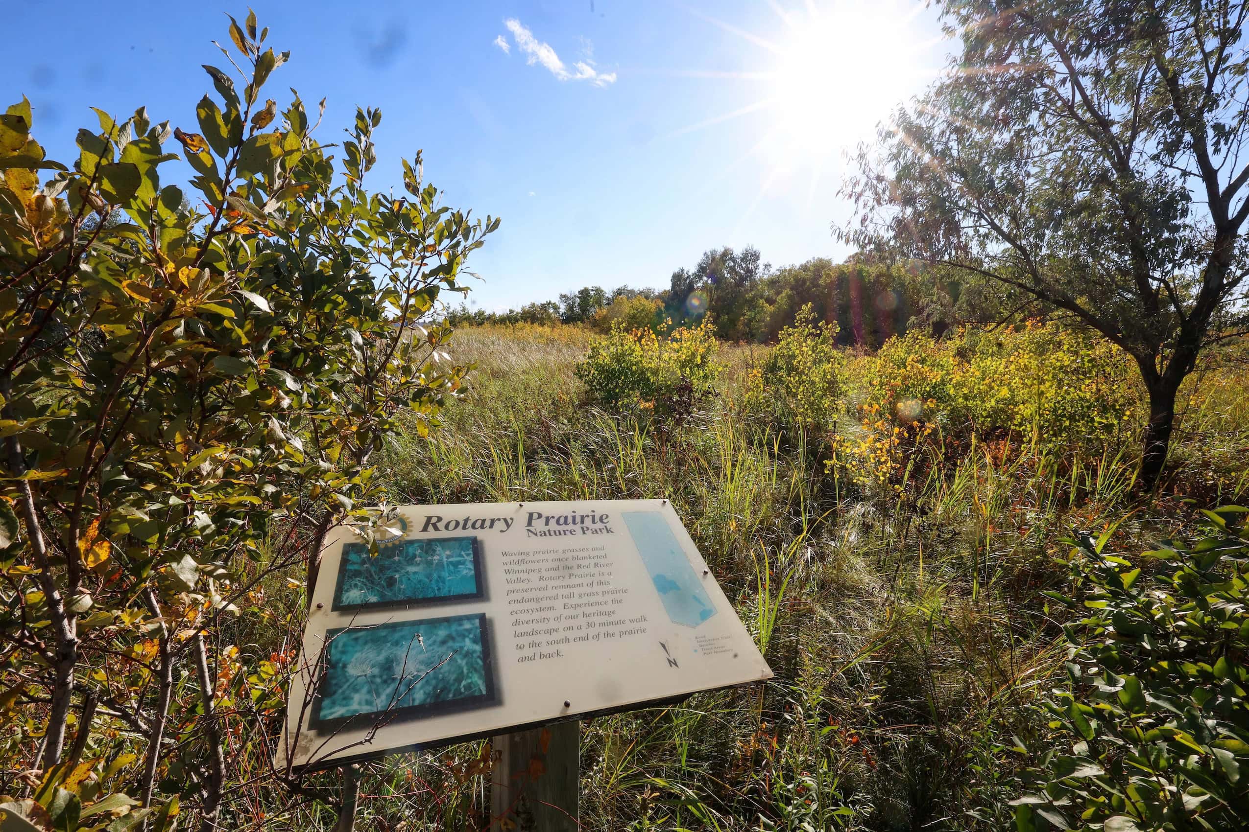 A sign reading "Rotary Prairie Nature Park" is placed in front of a tallgrass prairie landscape.