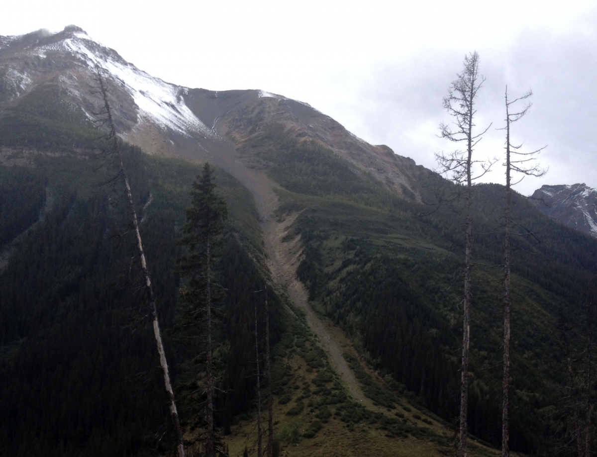 Farnham Glacier avalanche paths